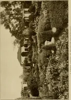 Picture 33 of 51 from The joy of gardens (1911), leaf 230