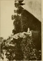 An illustration from The joy of gardens (1911)