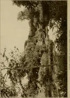 Picture 40 of 51 from The joy of gardens (1911), leaf 277