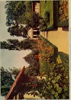 An illustration from The joy of gardens (1911)