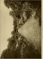 An illustration from The joy of gardens (1911)