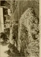 Picture 4 of 51 from The joy of gardens (1911), leaf 36