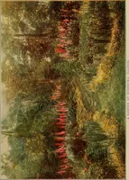 Picture 6 of 51 from The joy of gardens (1911), leaf 48