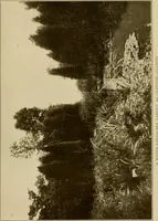 An illustration from The joy of gardens (1911)