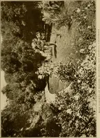 An illustration from The joy of gardens (1911)