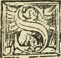 Picture 5 of 348 from Új testamentu maar ellven, mellet az görög és diák ellvbol ... fordijtant [Sylvester János.] (1541), leaf 13