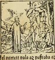 Picture 12 of 348 from Új testamentu maar ellven, mellet az görög és diák ellvbol ... fordijtant [Sylvester János.] (1541), leaf 21