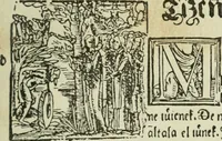 Picture 96 of 348 from Új testamentu maar ellven, mellet az görög és diák ellvbol ... fordijtant [Sylvester János.] (1541), leaf 228
