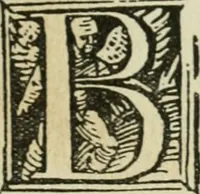 An illustration from Új testamentu maar ellven, mellet az görög és diák ellvbol ... fordijtant [Sylvester János.] (1541)