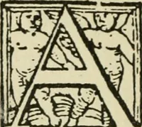 Picture 129 of 348 from Új testamentu maar ellven, mellet az görög és diák ellvbol ... fordijtant [Sylvester János.] (1541), leaf 299