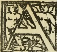 Picture 191 of 348 from Új testamentu maar ellven, mellet az görög és diák ellvbol ... fordijtant [Sylvester János.] (1541), leaf 425