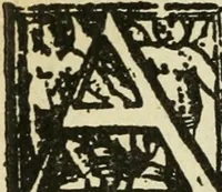 Picture 244 of 348 from Új testamentu maar ellven, mellet az görög és diák ellvbol ... fordijtant [Sylvester János.] (1541), leaf 553