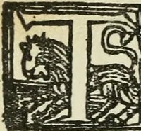 Picture 245 of 348 from Új testamentu maar ellven, mellet az görög és diák ellvbol ... fordijtant [Sylvester János.] (1541), leaf 555