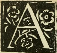 Picture 267 of 348 from Új testamentu maar ellven, mellet az görög és diák ellvbol ... fordijtant [Sylvester János.] (1541), leaf 595