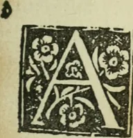 Picture 295 of 348 from Új testamentu maar ellven, mellet az görög és diák ellvbol ... fordijtant [Sylvester János.] (1541), leaf 652