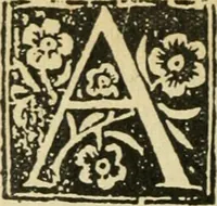 Picture 301 of 348 from Új testamentu maar ellven, mellet az görög és diák ellvbol ... fordijtant [Sylvester János.] (1541), leaf 661