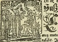 An illustration from Új testamentu maar ellven, mellet az görög és diák ellvbol ... fordijtant [Sylvester János.] (1541)
