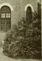 Picture 121 of 166 from Starye gody (1907), leaf 281