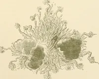 An illustration from Starye gody (1907)