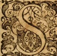 An illustration from Jurisprudentia criminalis : tam publicorum & majorum, quam privatorum & minorum delictorum jura brevi & succinctâ methodo exhibens (1669)