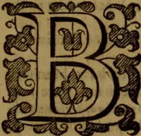 An illustration from Jus divinum ministerii evangelici, or, The divine right of the gospel-ministry .. (1654)