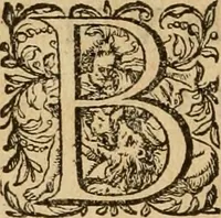 Picture 8 of 17 from Justi Lipsii opera (1602), leaf 111
