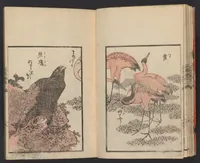 An illustration from Kachō gaden. Shohen : zen (1849)