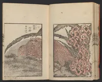 An illustration from Kachō gaden. Shohen : zen (1849)