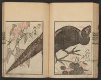 An illustration from Kachō gaden. Shohen : zen (1849)