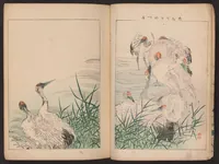 Picture 2 of 7 from Kachō gafu : eshima no nami (1898), leaf 4