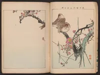 An illustration from Kachō gafu : eshima no nami (1898)