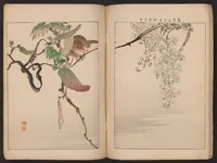 An illustration from Kachō gafu : eshima no nami (1898)