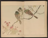 An illustration from Kachō gafu (1903)