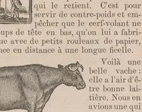 An illustration from Kaiatonsera ionteweienstakwa kaiatonserase. Nouveau syllabaire iroquois (1873)