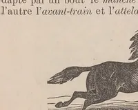 Picture 3 of 9 from Kaiatonsera ionteweienstakwa kaiatonserase. Nouveau syllabaire iroquois (1873), leaf 50