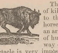 An illustration from Kaiatonsera ionteweienstakwa kaiatonserase. Nouveau syllabaire iroquois (1873)