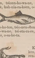 Picture 5 of 9 from Kaiatonsera ionteweienstakwa kaiatonserase. Nouveau syllabaire iroquois (1873), leaf 91