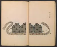 An illustration from Kanbō zue (1840)