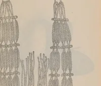 Picture 5 of 8 from Kanbō zue (1840), leaf 16