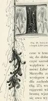 Picture 48 of 174 from Kanclerz Krzysztof Szydowiecki; z dziejów kultury i sztuki Zygmuntowskich czasów (1912), leaf 149