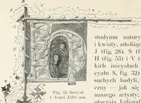 Picture 83 of 174 from Kanclerz Krzysztof Szydowiecki; z dziejów kultury i sztuki Zygmuntowskich czasów (1912), leaf 233