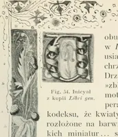 Picture 85 of 174 from Kanclerz Krzysztof Szydowiecki; z dziejów kultury i sztuki Zygmuntowskich czasów (1912), leaf 234