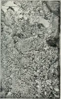 An illustration from Kanclerz Krzysztof Szydowiecki; z dziejów kultury i sztuki Zygmuntowskich czasów (1912)