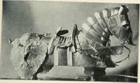 An illustration from Kanclerz Krzysztof Szydowiecki; z dziejów kultury i sztuki Zygmuntowskich czasów (1912)