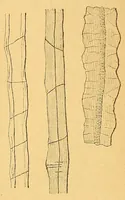 An illustration from Karmarsch und Heeren's Technisches Wörterbuch (1880)