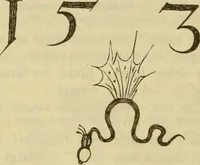 Picture 20 of 23 from Katalog der Königlichen Gemäldegalerie zu Dresden (1892), leaf 651