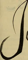 An illustration from Katalog der Königlichen Gemäldegalerie zu Dresden (1899)