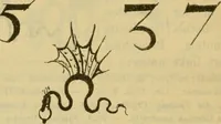 An illustration from Katalog der Königlichen Gemäldegalerie zu Dresden (1908)