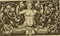 An illustration from Katalog der ornamentstich-sammlung des Kunstgewerbe-museums, mit 200 abbildungen (1894)