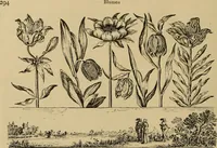 An illustration from Katalog der ornamentstich-sammlung des Kunstgewerbe-museums, mit 200 abbildungen (1894)